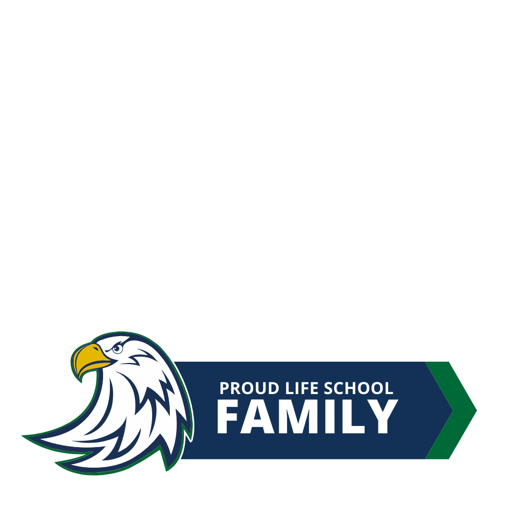 LSMC Proud Family Frame