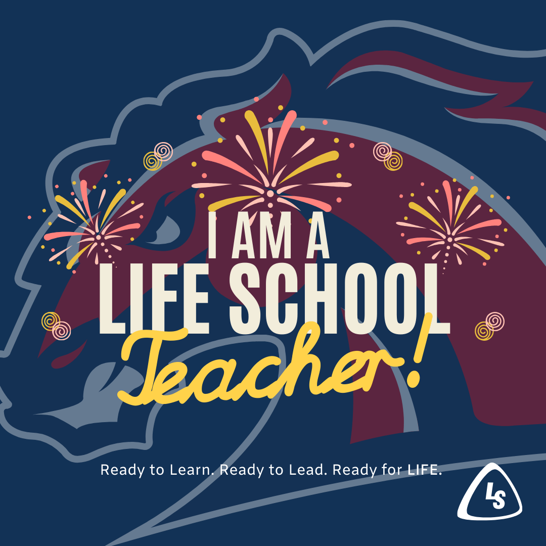 We Are LSRO Staff Frame